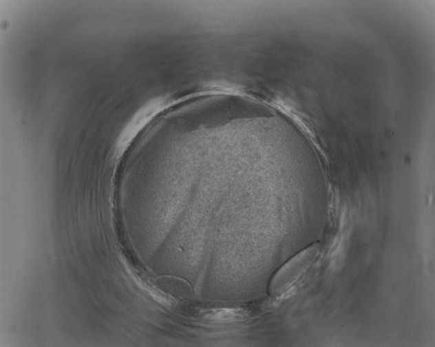 X0000062130151200512161201