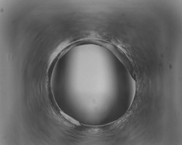 X0000062130152200512161201