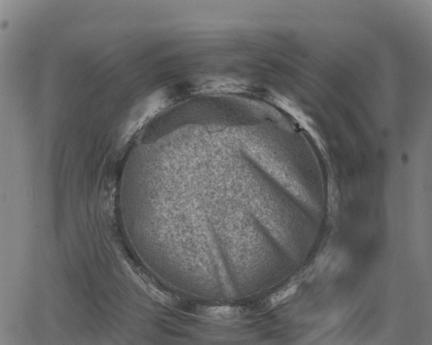 X0000062130153200512161201