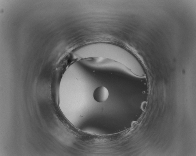 X0000062130154200512161201