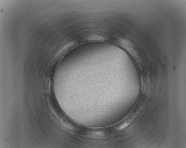 X0000062130157200512161201