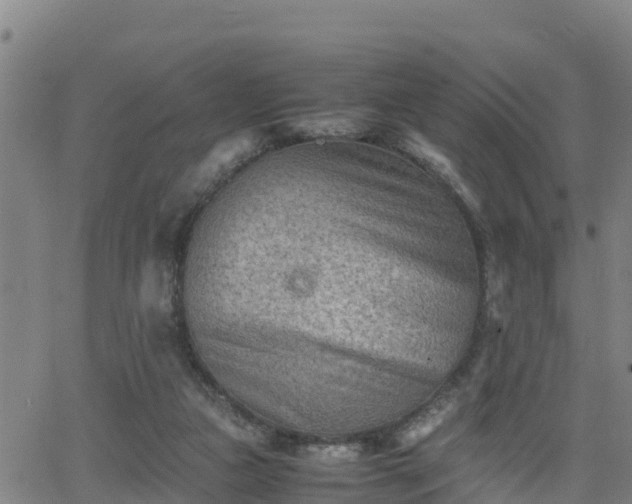 X0000062130161200512161201