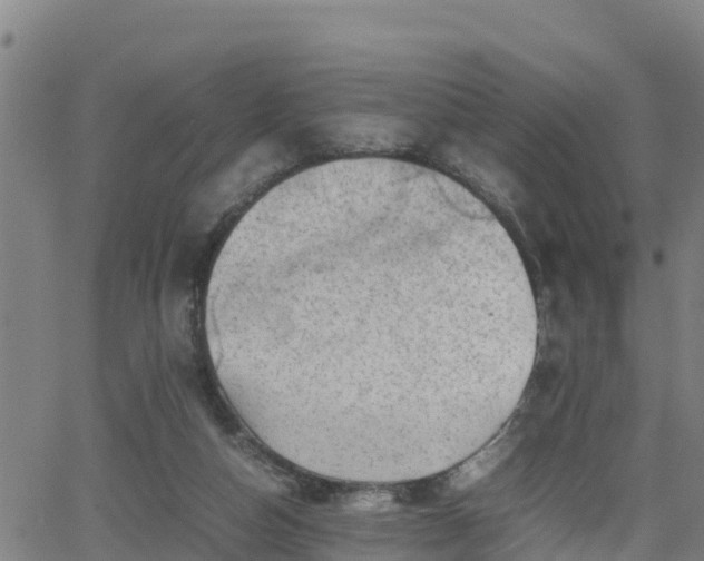 X0000062130162200512161201