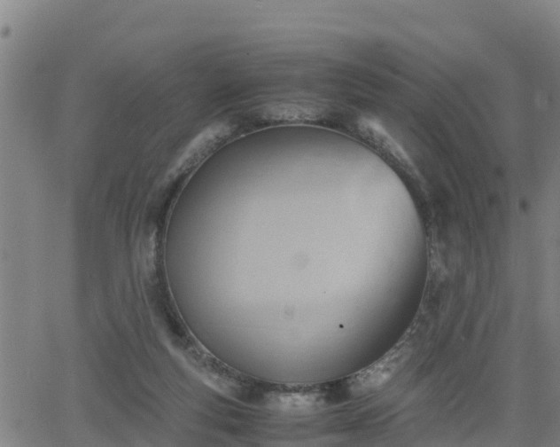 X0000062130163200512161201