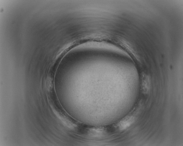 X0000062130164200512161201