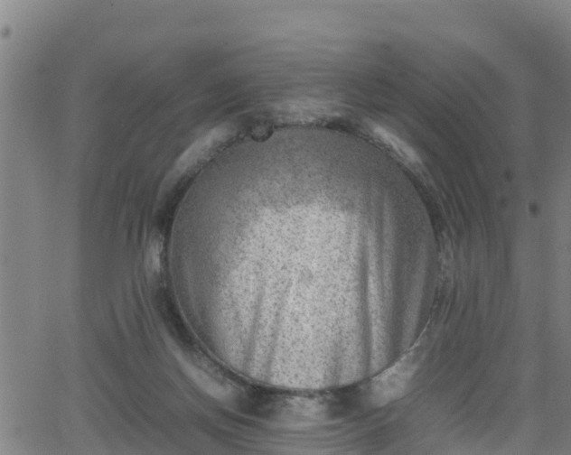 X0000062130166200512161201