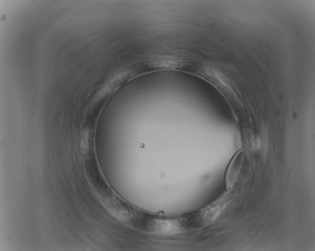 X0000062130167200512161201