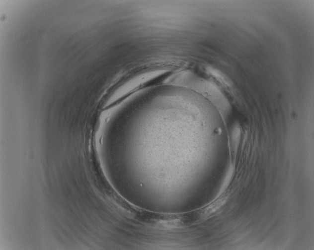 X0000062130168200512161201