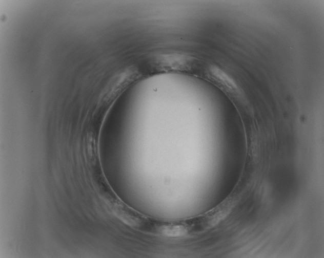 X0000062130169200512161201