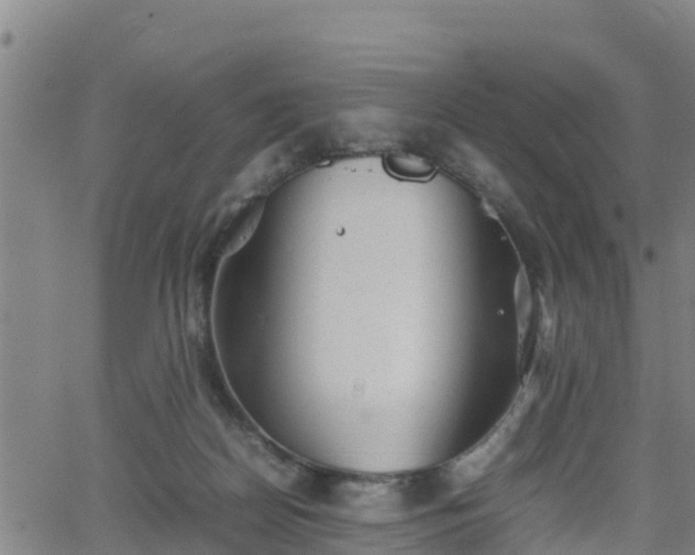 X0000062130170200512161201