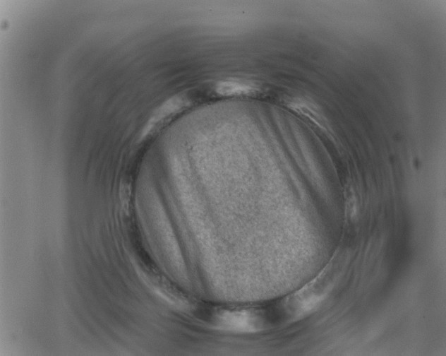 X0000062130171200512161201