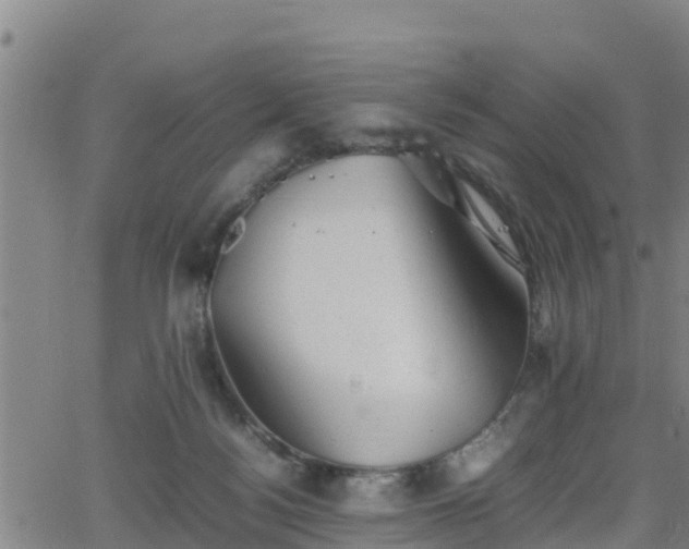 X0000062130172200512161201