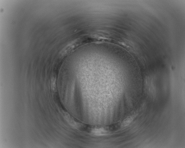 X0000062130177200512161201