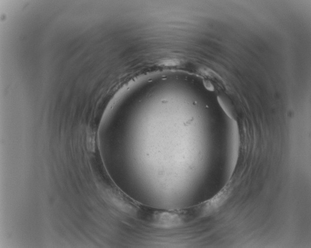 X0000062130180200512161201