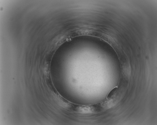 X0000062130181200512161201