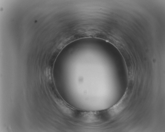 X0000062130182200512161201