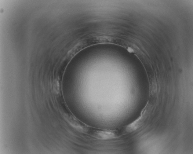 X0000062130183200512161201