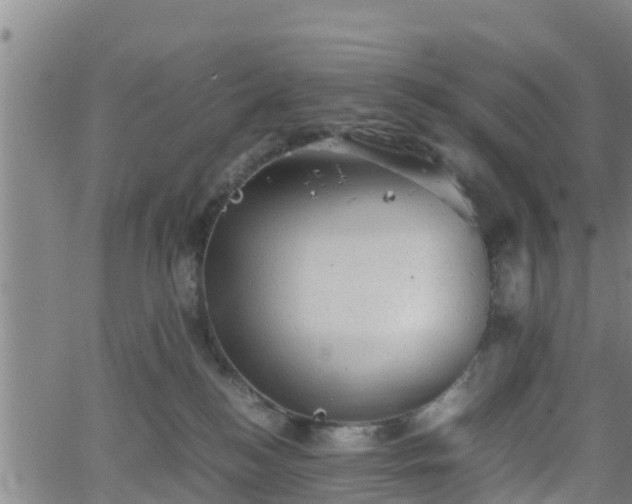 X0000062130184200512161201