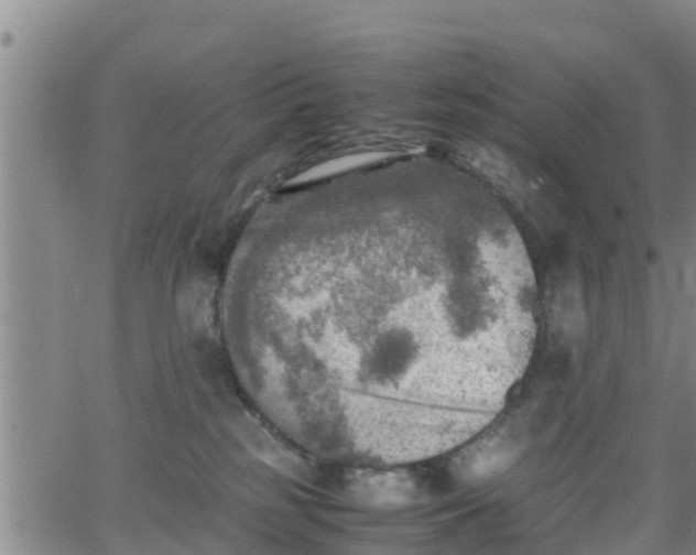 X0000062130185200512161201