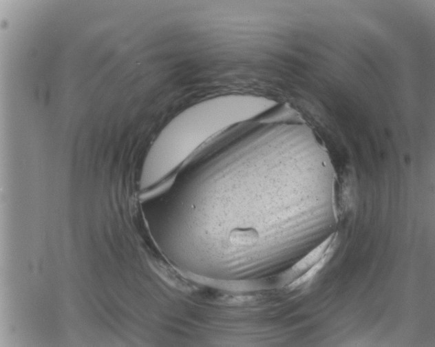 X0000062130186200512161201