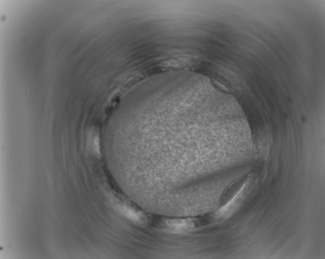 X0000062130187200512161201