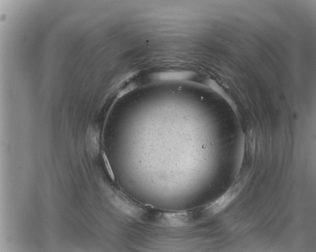 X0000062130188200512161201