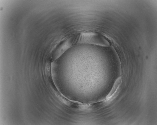 X0000062130192200512161201