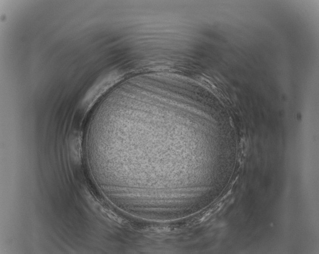 X0000062130194200512161201