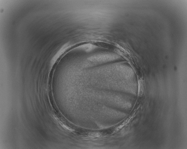 X0000062130195200512161201