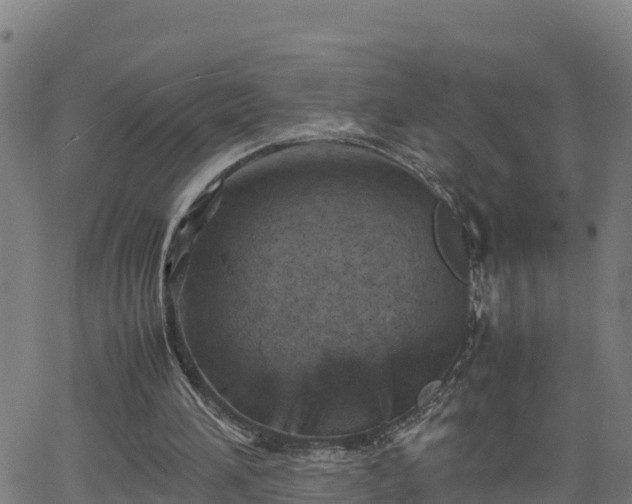 X0000062130196200512161201