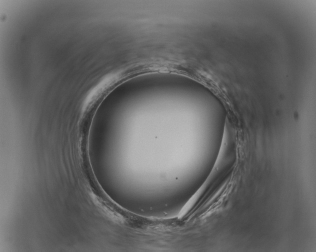 X0000062130197200512161201