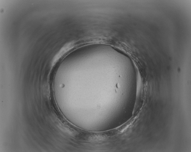 X0000062130198200512161201