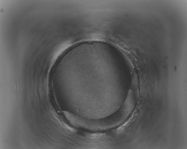 X0000062130200200512161201