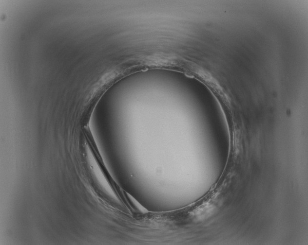 X0000062130201200512161200