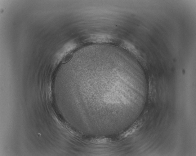 X0000062130202200512161200