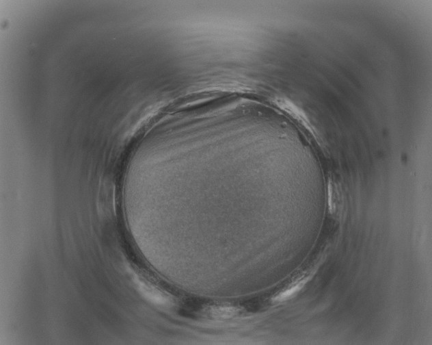 X0000062130205200512161200