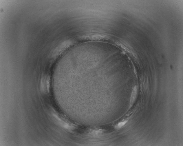 X0000062130206200512161200