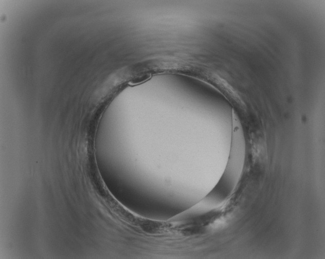 X0000062130207200512161200