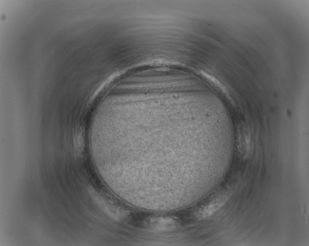 X0000062130208200512161200