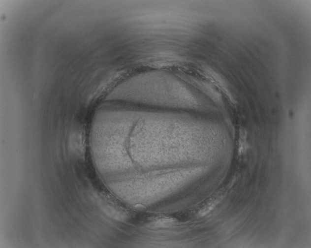 X0000062130210200512161200