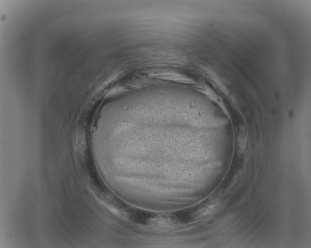 X0000062130211200512161200