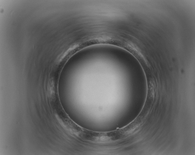 X0000062130212200512161200