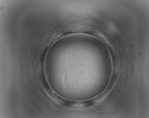 X0000062130213200512161200