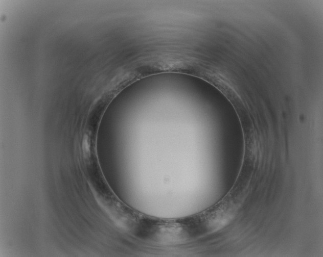 X0000062130214200512161200