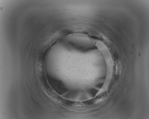 X0000062130215200512161200