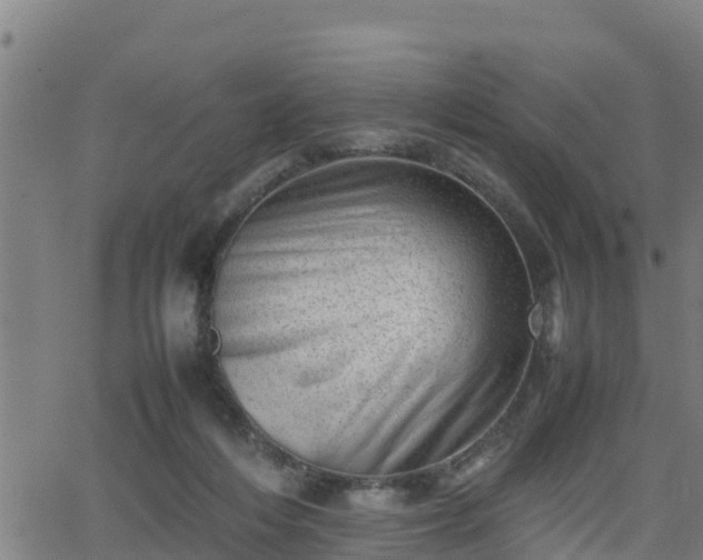 X0000062130216200512161200