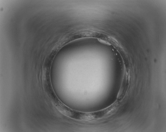 X0000062130217200512161200