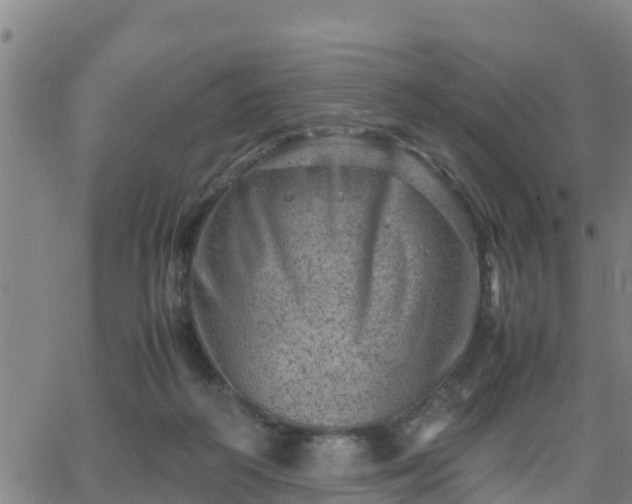 X0000062130218200512161200