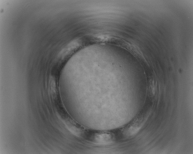 X0000062130220200512161200