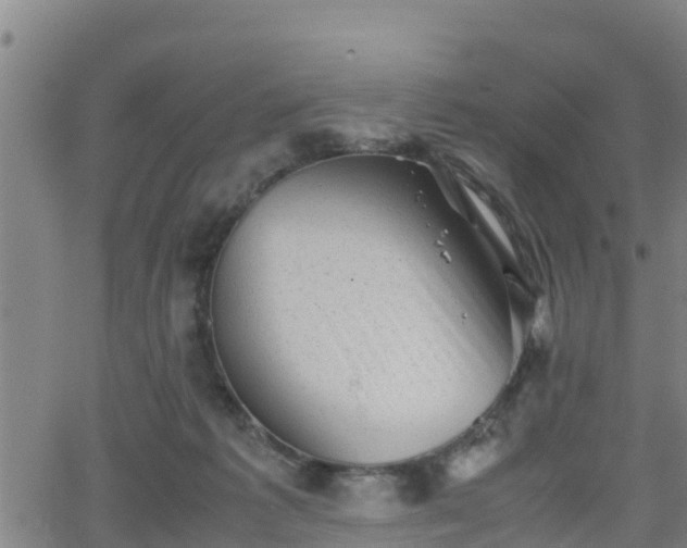 X0000062130221200512161200